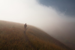 im Nebel / ***