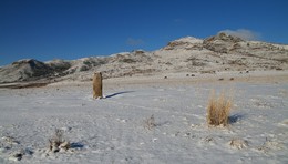 Winter-Skizze / ***