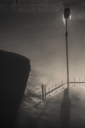  / ***