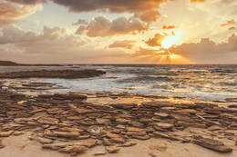  / Habonim