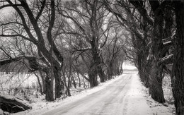Alte Allee / ***