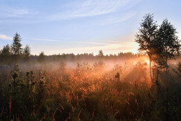 Morgen Rays / ***