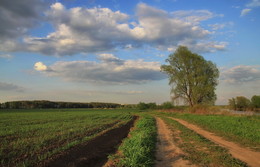 Vorstadtlandschaft / ***
