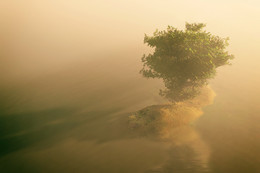 Sonnenwind ... / ***