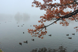 Am Wasser / ***