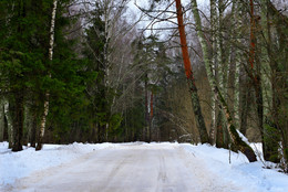 Forststraße / ***