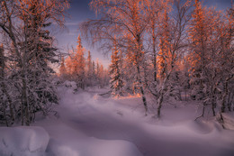A Christmas Tale / ***