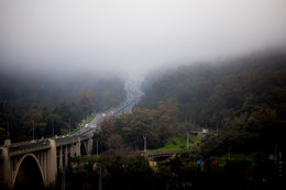 Straße im Nebel / ***