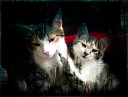  / Matilda and Sasha:)