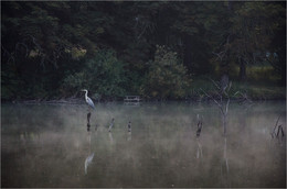 Auf dem See / ***