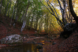 Herbst / ***