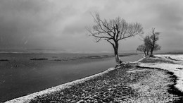 Melancholie / ***