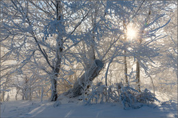 Wintersonne / ***