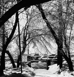 Frost / ***