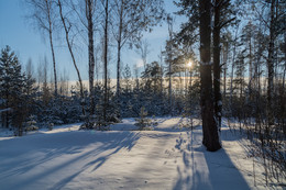 Frost und Sonne 3 / ***