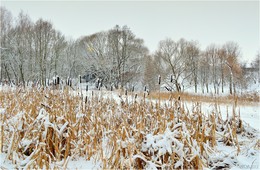 Nach Schneefall / ***