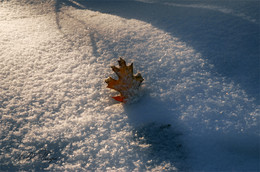 Erinnerungen des Herbstes / ***