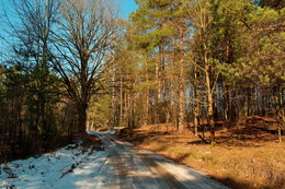 sonniger Tag / ***