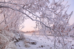 Wintermärchen / ***