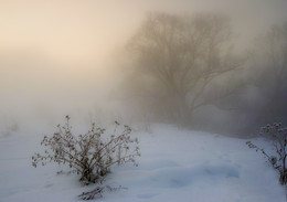 Winter Bouquet / ***
