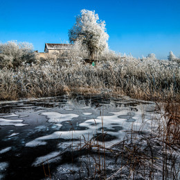 Cold Day / ***
