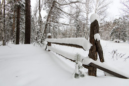 Winter / ***