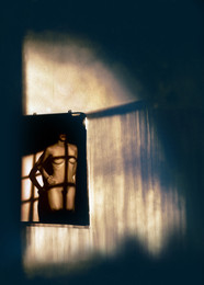 Abendlicht / ***