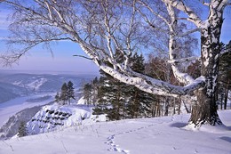 Wintertag / ***