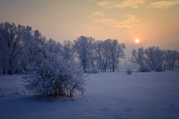 Sunset / ***