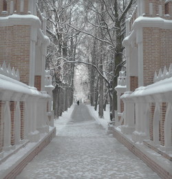 Winterwanderung / ***