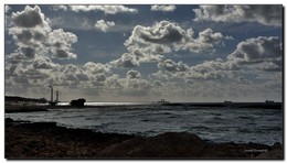 Winter / ***