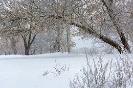 Winter-Skizze / ***