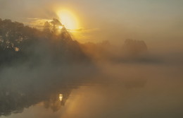 Nebliger Morgen / ***