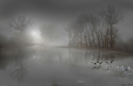 Nebliger Morgen / ***