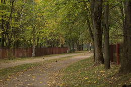 Herbststraße / ***