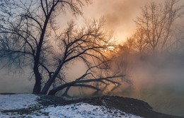 Nebel / ---