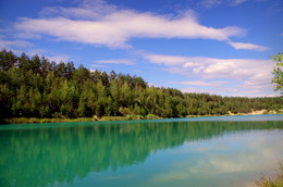 Ausgedehnte Wald / ***