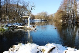 Beginn des Winters. / ***