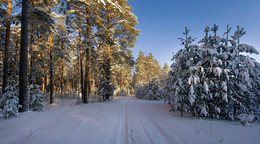 Die Januar-Landschaft / ***