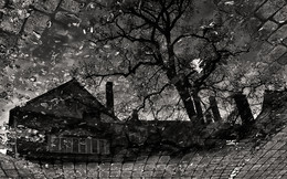 Herbst / ***