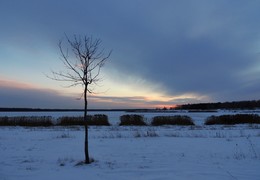Winterschlaf / ***