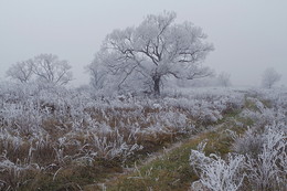 Winterwandern / ***
