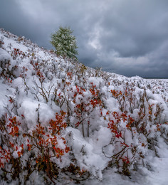 Winter Farbe / ***