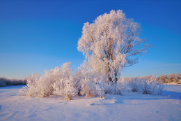 Morgen Frost / ***