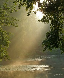 Am Teich ... / ***