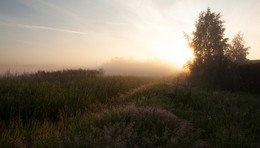 Eines Morgens / ***