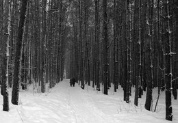 Wanderung / ***