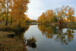 Autumn Sketch / ***