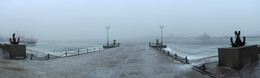 Nebel / ***