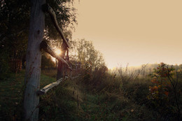 Morgengrauen am Stadtrand / ***